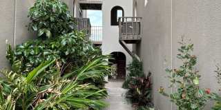 1342 Harbor Island Dr. Gallery 42
