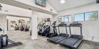 Vetra Chandler Gallery 19