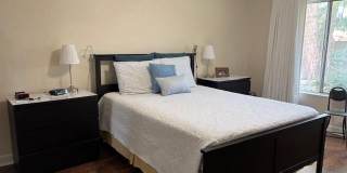 3361 E Sequoia Drive Gallery 17