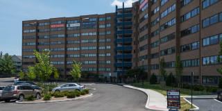 The Mark Alexandria Gallery 37