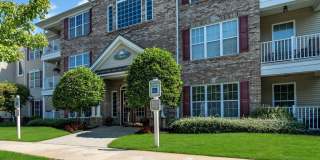 313 Sophee Lane Gallery 1