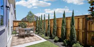 Echo Paired Homes Gallery 8