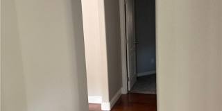 7020 Albatross Attic Street Gallery 22