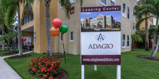 Adagio at Westshore Palms Gallery 25