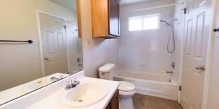 South Austin Living with Room to Spread Out Gallery 14