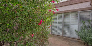 8742 E Via Taz Norte, Scottsdale, AZ 85260 Gallery 12