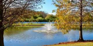 10330 ESTERO BAY LANE Gallery 25