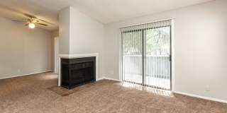 Songbird Apartments Gallery 2