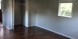 6833 25th Ave NE Gallery 5