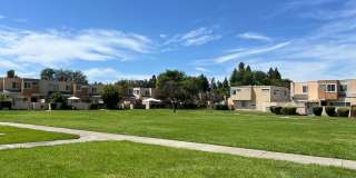 3 bedroom 1.5 bath - for rent $3300 Gallery 26