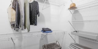 Storyline Gallery 30