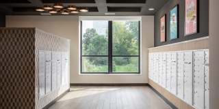 Wren on the Creek Gallery 48