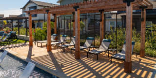 Collection at Gruene Gallery 41