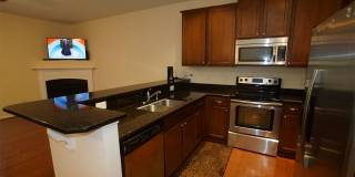 2236 Stoney Spring Drive - 1 Gallery 16