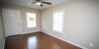 934 Poinsettia Gallery 1