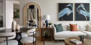 Tortoise One Gallery 6