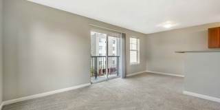 Terrace View Gallery 7