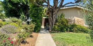 Charming, 1 Bedroom, 1 Bathroom  (ADU) in Granada Hills! Ready for Move In! Gallery 1