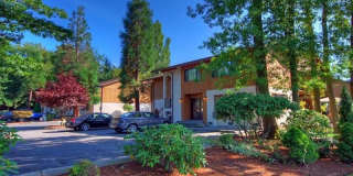 Autumn Village Gallery 32