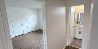 5301NEW Gallery 9