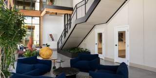 Freewell Gallery 22