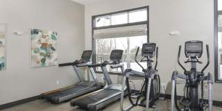 Westside Apartments and Shopping Gallery 11