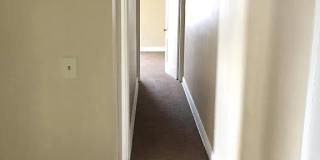 203 East Duncan Street Gallery 12