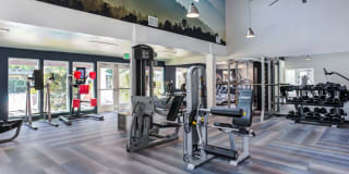 The Woodlands The Woodlands Gallery 14