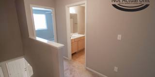 Vanderveen Duplex Gallery 15