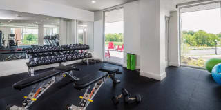 The Mastlight Gallery 11