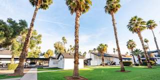 Country Creek Gallery 41
