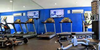 La Jolla Canyon Gallery 20