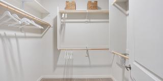 Prose Ascend Gallery 17