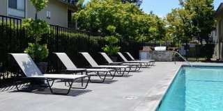 Bella Vista Gallery 7