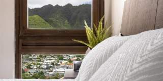 531 Hahaione Street - Unit #2/20A Gallery 33