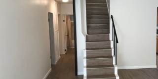 Updated 3 Bedroom 2 Bathroom Home in Paradise! Gallery 9