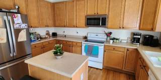 Beautiful 3/3/3 Home in Briargate!!! Gallery 4