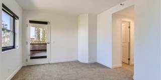 Elm Row Gallery 11