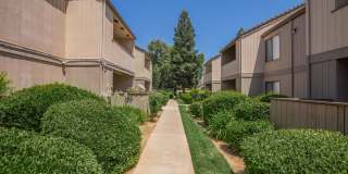 Renaissance Apartments - Affordable Housing Gallery 15