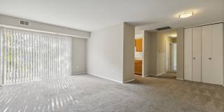 Briarwood Apartments Gallery 10