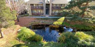 Sunflower Condo, Aurora! Gallery 1