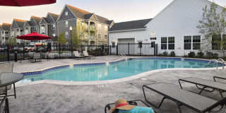 Berry Farms Gallery 20