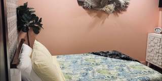 1230 Driftwood Drive Gallery 4