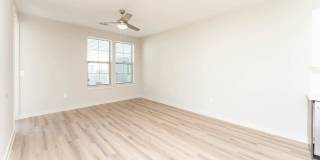 Remy Apartments Gallery 6