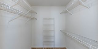 Magnolia Chase Gallery 16