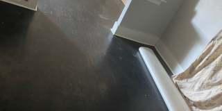 Charming 2BR House in Saint Louis Charming 2BR House in Saint Louis Gallery 5