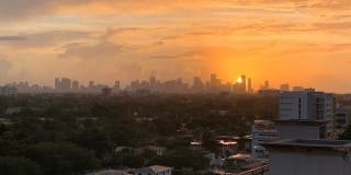 The Henry Gallery 12