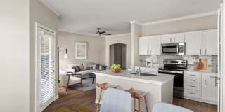 Olympus Las Colinas Gallery 1