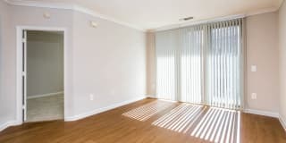 2201 Wilson Gallery 13