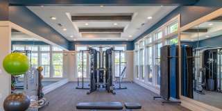 The Aster Gallery 11